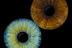 ajywuikvnlwutbapj2p8-scaled