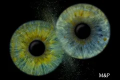 jt8kcqav4gwfyepgu1hk-scaled