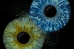 uft7semzfbtyjgdjavof-scaled