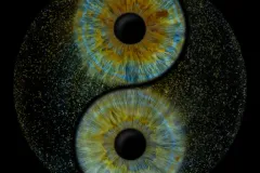 v1wjia1szdz8ywxiiz3f-scaled