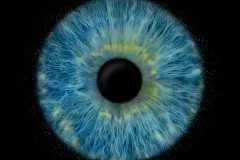 wcjhy6cqcrkw5xpf3rxl-scaled