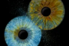 wniyq9b4mcvjwzggc05h-scaled