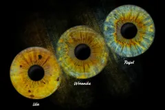 zzbbn8k7gqqkbhpbpahx-1-scaled