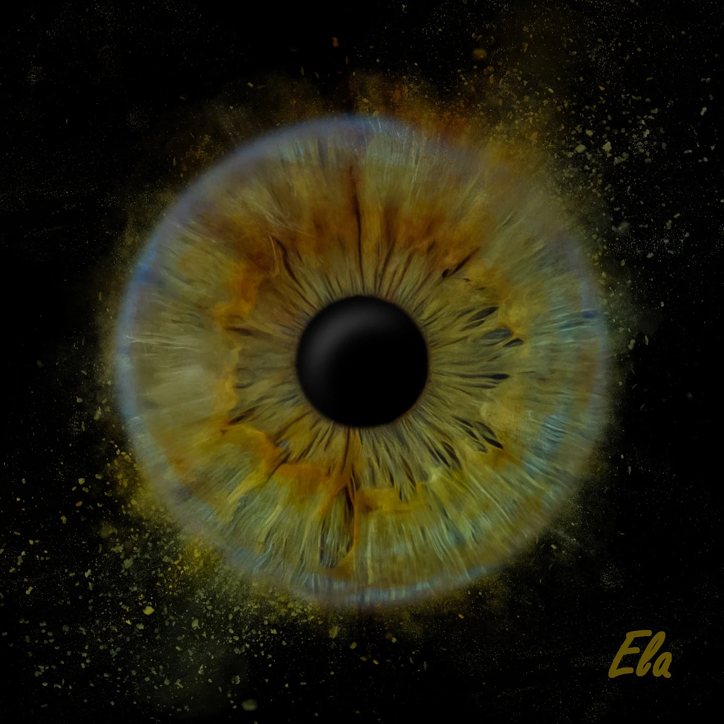 499576645_17859163164421393_1675166157033670109_n