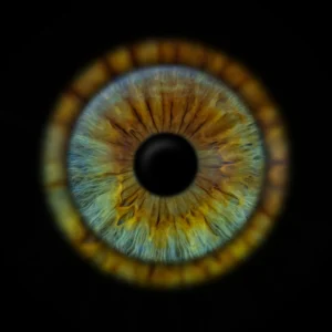 VOUCHER PAKIET SOLO 20x20cm